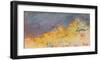 Aerial-Patrick Dennis-Framed Art Print