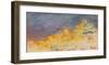 Aerial-Patrick Dennis-Framed Art Print