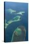 Aerials of the Russell Islands, Solomon Islands, Pacific-Michael Runkel-Stretched Canvas