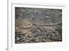 Aeriel View of the Wall Dividing Israel from the West Bank to Prevent Terror Attacks-Hal Beral-Framed Photographic Print