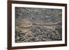 Aeriel View of the Wall Dividing Israel from the West Bank to Prevent Terror Attacks-Hal Beral-Framed Photographic Print