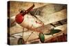 Aero III-Ryan Hartson Weddle-Stretched Canvas