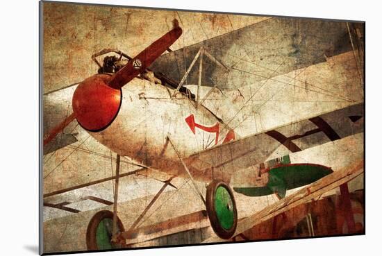 Aero III-Ryan Hartson Weddle-Mounted Art Print