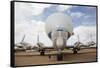 Aero Spacelines B-377SG 'Super Guppy', Tucson, Arizona, USA-Jamie & Judy Wild-Framed Stretched Canvas