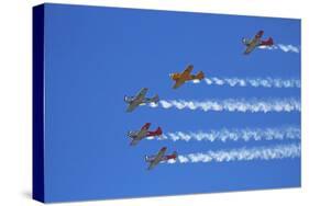 Aerobatic Display by North American Harvards, or T-6 Texans, or SNJ, Airshow-David Wall-Stretched Canvas