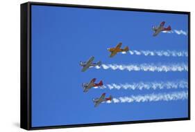 Aerobatic Display by North American Harvards, or T-6 Texans, or SNJ, Airshow-David Wall-Framed Stretched Canvas