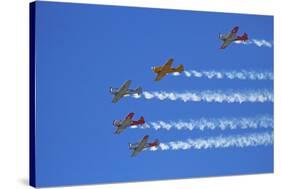 Aerobatic Display by North American Harvards, or T-6 Texans, or SNJ, Airshow-David Wall-Stretched Canvas