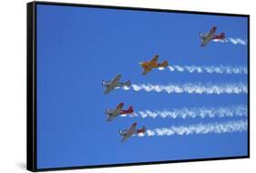 Aerobatic Display by North American Harvards, or T-6 Texans, or SNJ, Airshow-David Wall-Framed Stretched Canvas