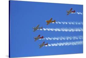 Aerobatic Display by North American Harvards, or T-6 Texans, or SNJ, Airshow-David Wall-Stretched Canvas