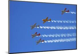 Aerobatic Display by North American Harvards, or T-6 Texans, or SNJ, Airshow-David Wall-Mounted Photographic Print