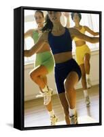 Aerobics Class-null-Framed Stretched Canvas