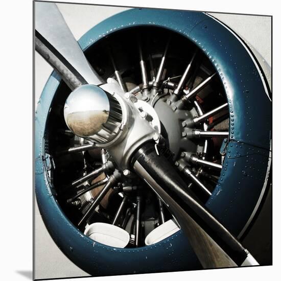 Aeronautical I-Anna Polanski-Mounted Art Print