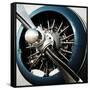 Aeronautical I-Anna Polanski-Framed Stretched Canvas