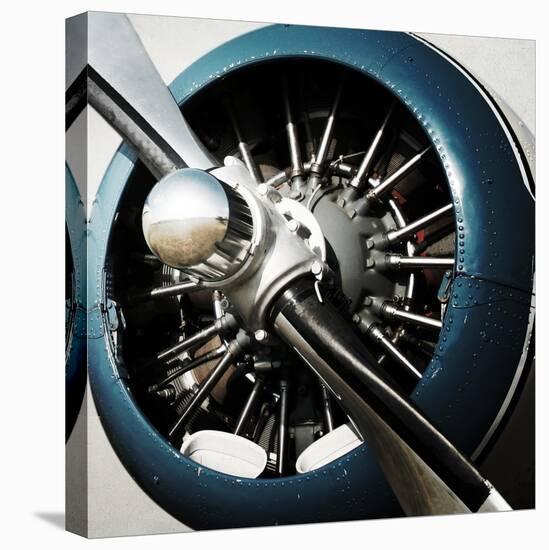 Aeronautical I-Anna Polanski-Stretched Canvas