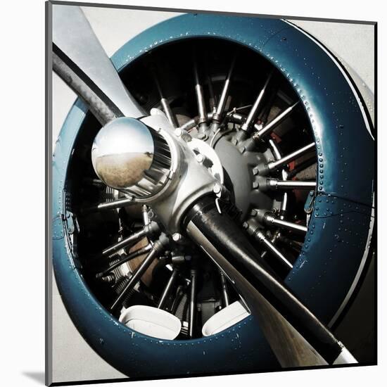 Aeronautical I-Anna Polanski-Mounted Art Print