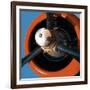 Aeronautical III-Anna Polanski-Framed Art Print