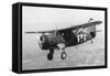 Aeronca Grasshopper-null-Framed Stretched Canvas