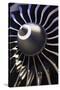 Aeroplane Engine-Mark Williamson-Stretched Canvas