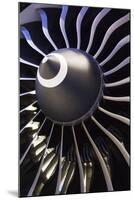 Aeroplane Engine-Mark Williamson-Mounted Premium Photographic Print