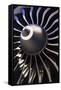 Aeroplane Engine-Mark Williamson-Framed Stretched Canvas