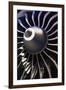 Aeroplane Engine-Mark Williamson-Framed Photographic Print