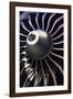 Aeroplane Engine-Mark Williamson-Framed Photographic Print