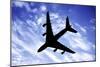 Aeroplane In Flight-Victor De Schwanberg-Mounted Photographic Print