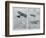 Aeroplane in Modern Warfare-G.h. Davis-Framed Art Print