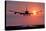 Aeroplane Landing At Sunset, Canada-David Nunuk-Stretched Canvas