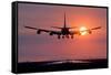 Aeroplane Landing At Sunset, Canada-David Nunuk-Framed Stretched Canvas