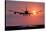 Aeroplane Landing At Sunset, Canada-David Nunuk-Stretched Canvas