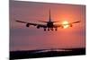 Aeroplane Landing At Sunset, Canada-David Nunuk-Mounted Premium Photographic Print