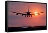 Aeroplane Landing At Sunset, Canada-David Nunuk-Framed Stretched Canvas