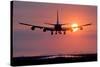 Aeroplane Landing At Sunset, Canada-David Nunuk-Stretched Canvas