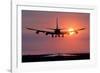 Aeroplane Landing At Sunset, Canada-David Nunuk-Framed Photographic Print