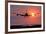 Aeroplane Landing At Sunset, Canada-David Nunuk-Framed Photographic Print