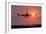 Aeroplane Landing At Sunset, Canada-David Nunuk-Framed Photographic Print