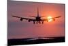 Aeroplane Landing At Sunset, Canada-David Nunuk-Mounted Photographic Print