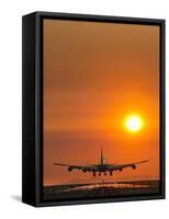 Aeroplane Landing At Sunset-David Nunuk-Framed Stretched Canvas