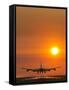 Aeroplane Landing At Sunset-David Nunuk-Framed Stretched Canvas