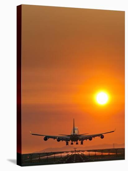 Aeroplane Landing At Sunset-David Nunuk-Stretched Canvas