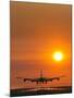 Aeroplane Landing At Sunset-David Nunuk-Mounted Photographic Print