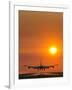 Aeroplane Landing At Sunset-David Nunuk-Framed Photographic Print