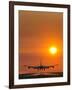 Aeroplane Landing At Sunset-David Nunuk-Framed Photographic Print