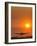 Aeroplane Landing At Sunset-David Nunuk-Framed Photographic Print