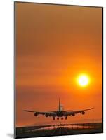 Aeroplane Landing At Sunset-David Nunuk-Mounted Photographic Print