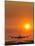 Aeroplane Landing At Sunset-David Nunuk-Mounted Photographic Print