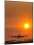 Aeroplane Landing At Sunset-David Nunuk-Mounted Photographic Print