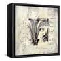 Aeropostale I-Liz Jardine-Framed Stretched Canvas