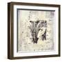 Aeropostale I-Liz Jardine-Framed Art Print